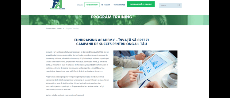 realizare website